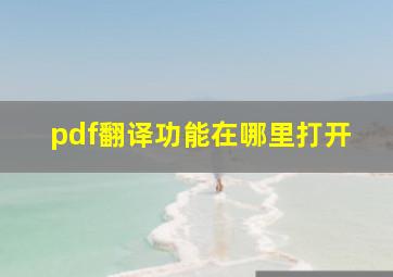 pdf翻译功能在哪里打开