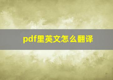 pdf里英文怎么翻译