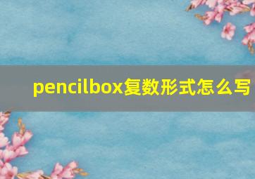 pencilbox复数形式怎么写