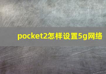 pocket2怎样设置5g网络