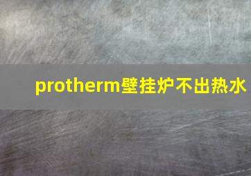 protherm壁挂炉不出热水