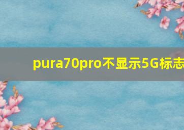 pura70pro不显示5G标志