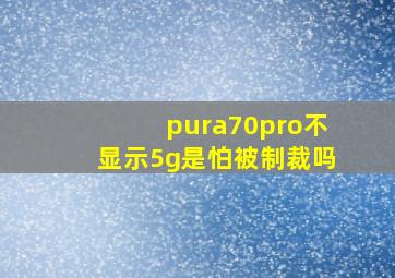 pura70pro不显示5g是怕被制裁吗