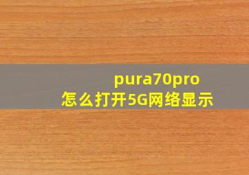 pura70pro怎么打开5G网络显示