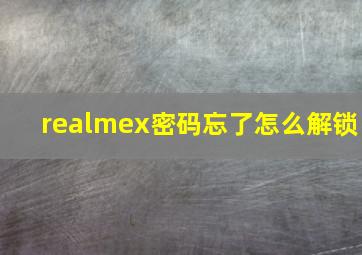 realmex密码忘了怎么解锁