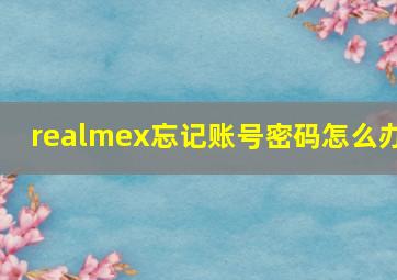 realmex忘记账号密码怎么办