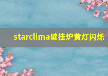 starclima壁挂炉黄灯闪烁