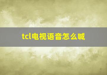 tcl电视语音怎么喊