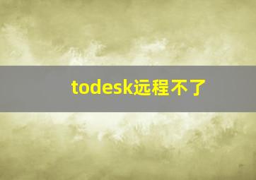 todesk远程不了