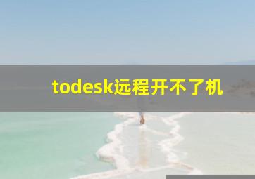 todesk远程开不了机