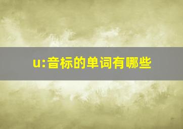 u:音标的单词有哪些