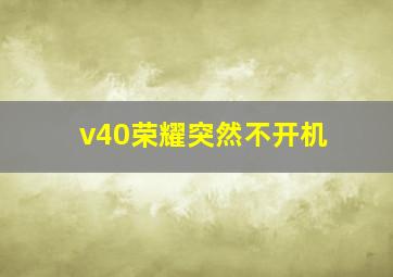 v40荣耀突然不开机