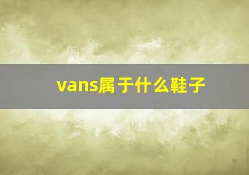 vans属于什么鞋子