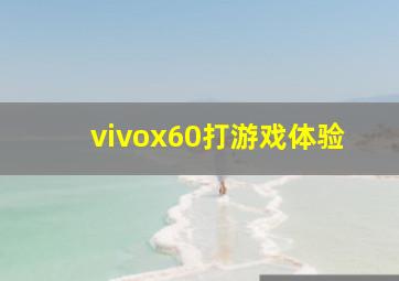 vivox60打游戏体验