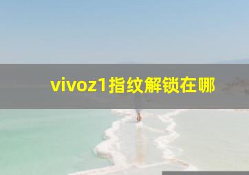 vivoz1指纹解锁在哪