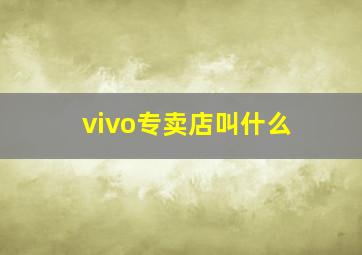 vivo专卖店叫什么