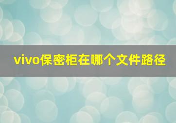 vivo保密柜在哪个文件路径