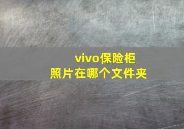 vivo保险柜照片在哪个文件夹