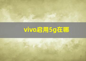 vivo启用5g在哪