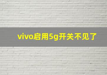 vivo启用5g开关不见了