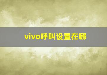 vivo呼叫设置在哪