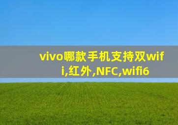 vivo哪款手机支持双wifi,红外,NFC,wifi6