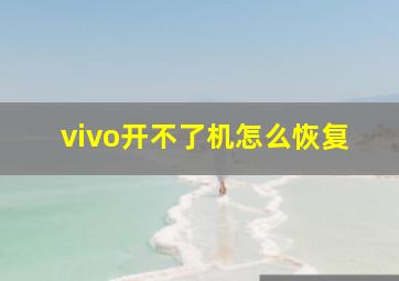 vivo开不了机怎么恢复