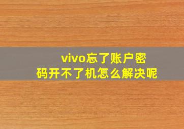 vivo忘了账户密码开不了机怎么解决呢