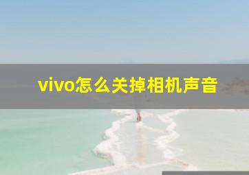 vivo怎么关掉相机声音