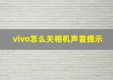 vivo怎么关相机声音提示