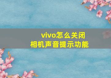 vivo怎么关闭相机声音提示功能