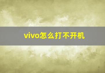 vivo怎么打不开机