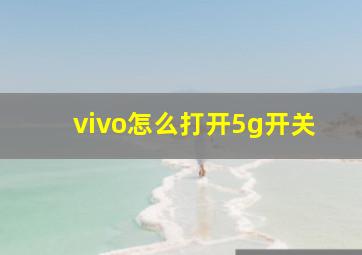 vivo怎么打开5g开关