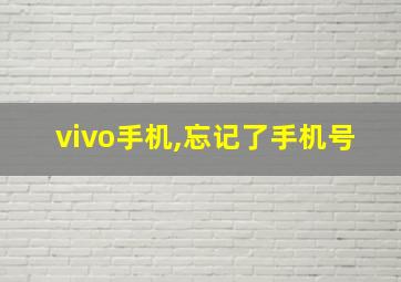 vivo手机,忘记了手机号