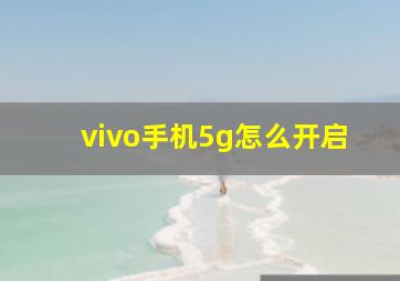 vivo手机5g怎么开启