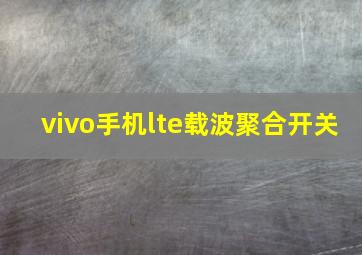 vivo手机lte载波聚合开关