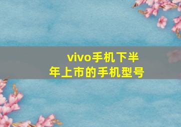 vivo手机下半年上市的手机型号