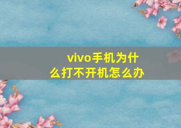 vivo手机为什么打不开机怎么办