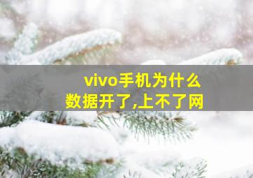 vivo手机为什么数据开了,上不了网