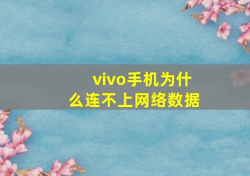 vivo手机为什么连不上网络数据