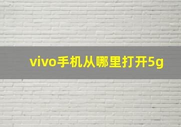 vivo手机从哪里打开5g