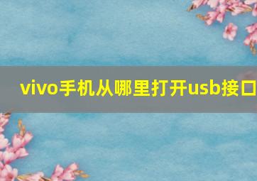 vivo手机从哪里打开usb接口