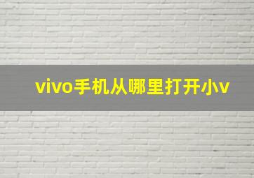 vivo手机从哪里打开小v