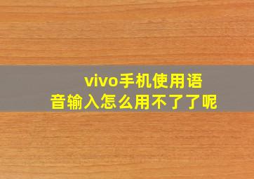 vivo手机使用语音输入怎么用不了了呢