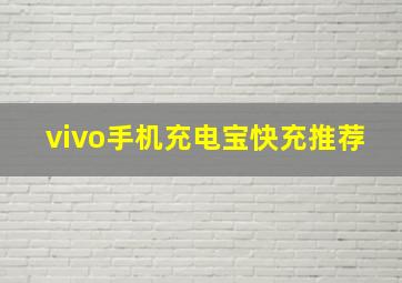 vivo手机充电宝快充推荐