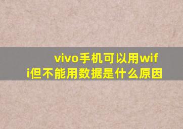 vivo手机可以用wifi但不能用数据是什么原因