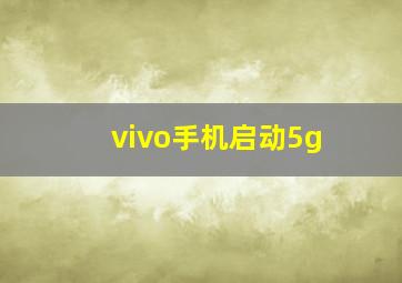 vivo手机启动5g