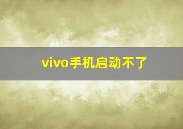 vivo手机启动不了