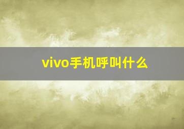 vivo手机呼叫什么