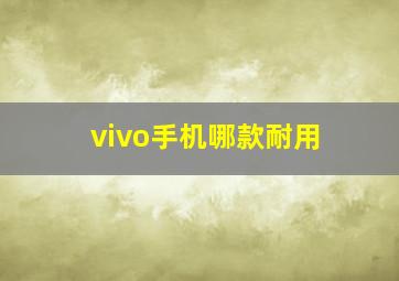 vivo手机哪款耐用